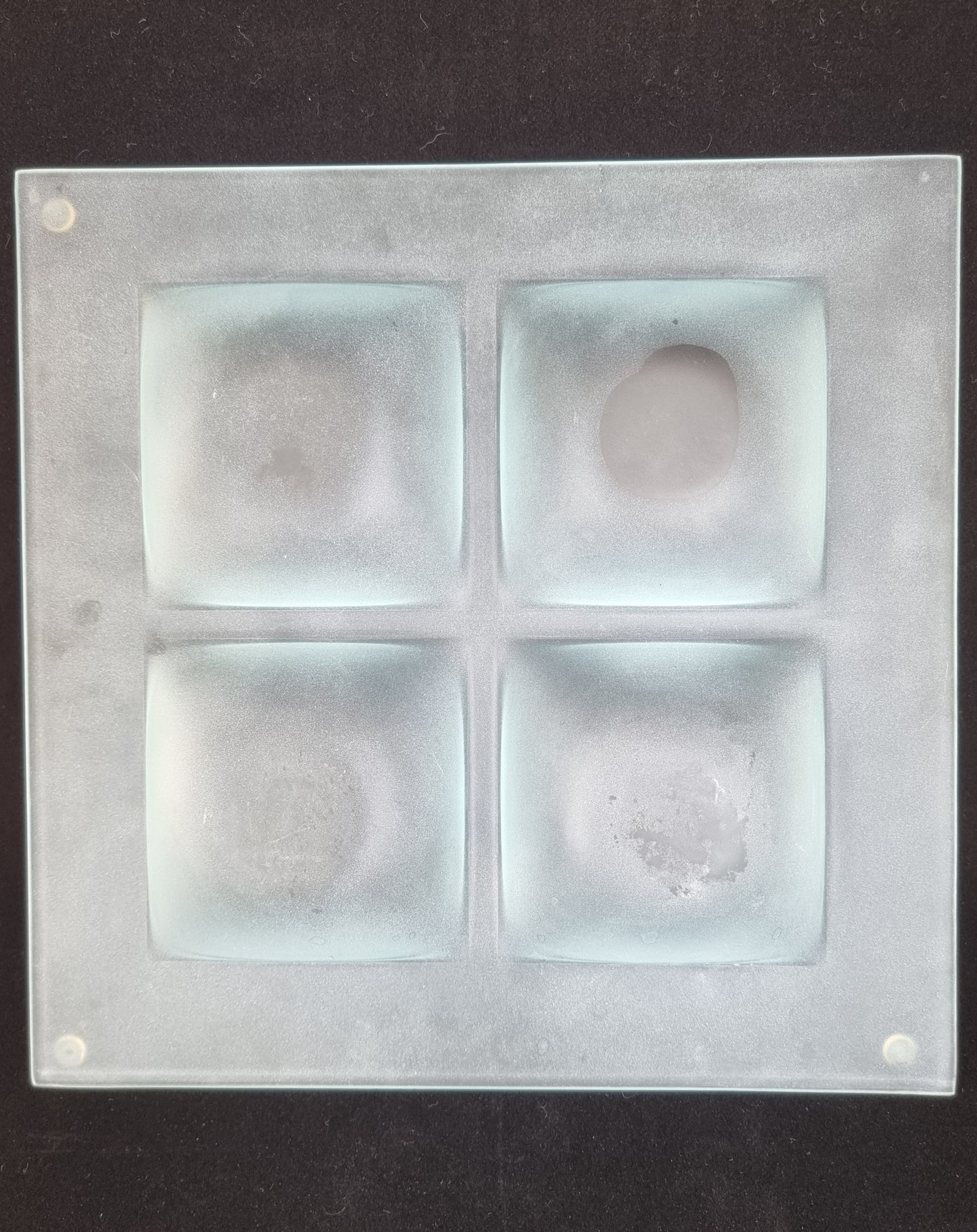 Dessous de plat en verre avec fleurs séchées