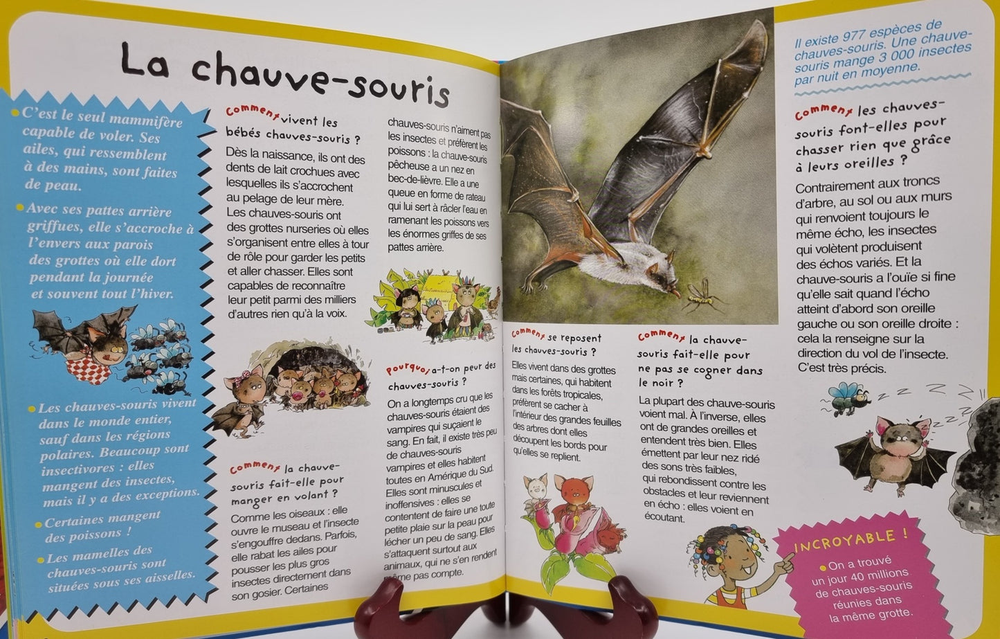 Livre - Les animaux pourquoi/comment ?