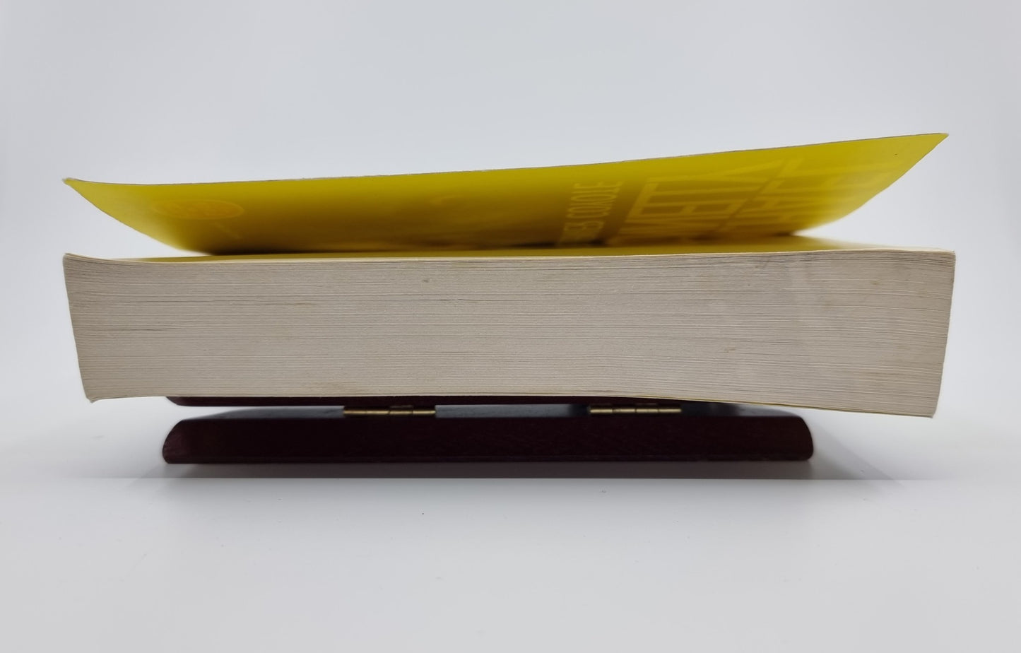 Livre - Le dernier coyote