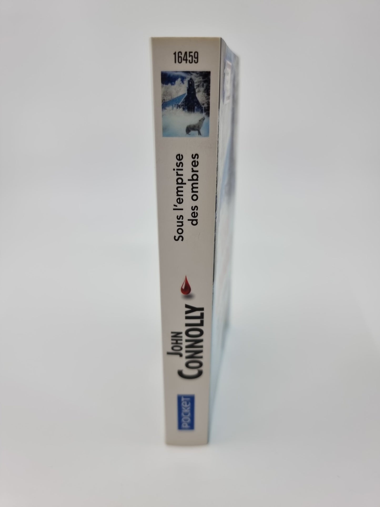 Livre - Sous l’emprise des ombres