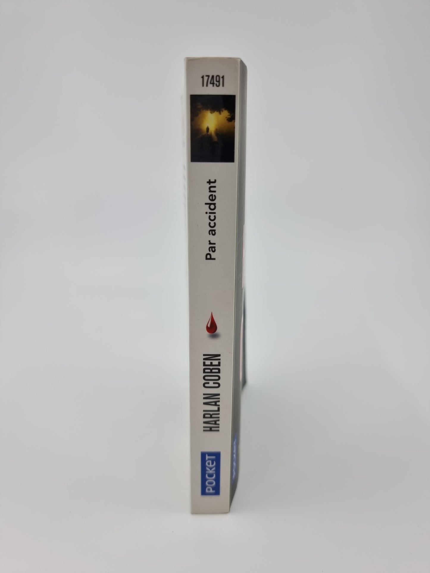 Livre - Par accident, certaines blessures d’enfance ne cicatrisent jamais…