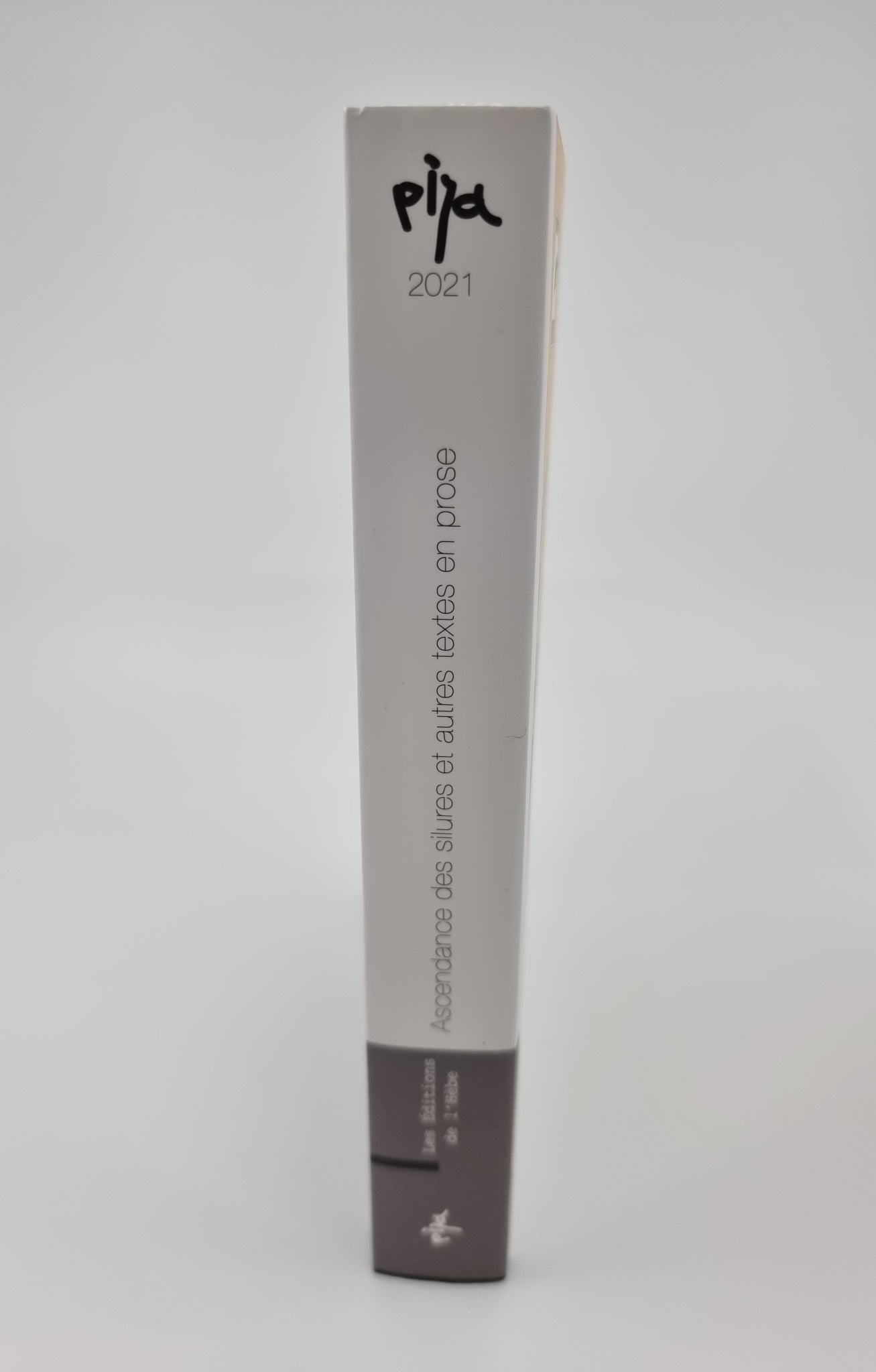 Livre - PIJA 2021, Ascendance des silures et autres textes en prose