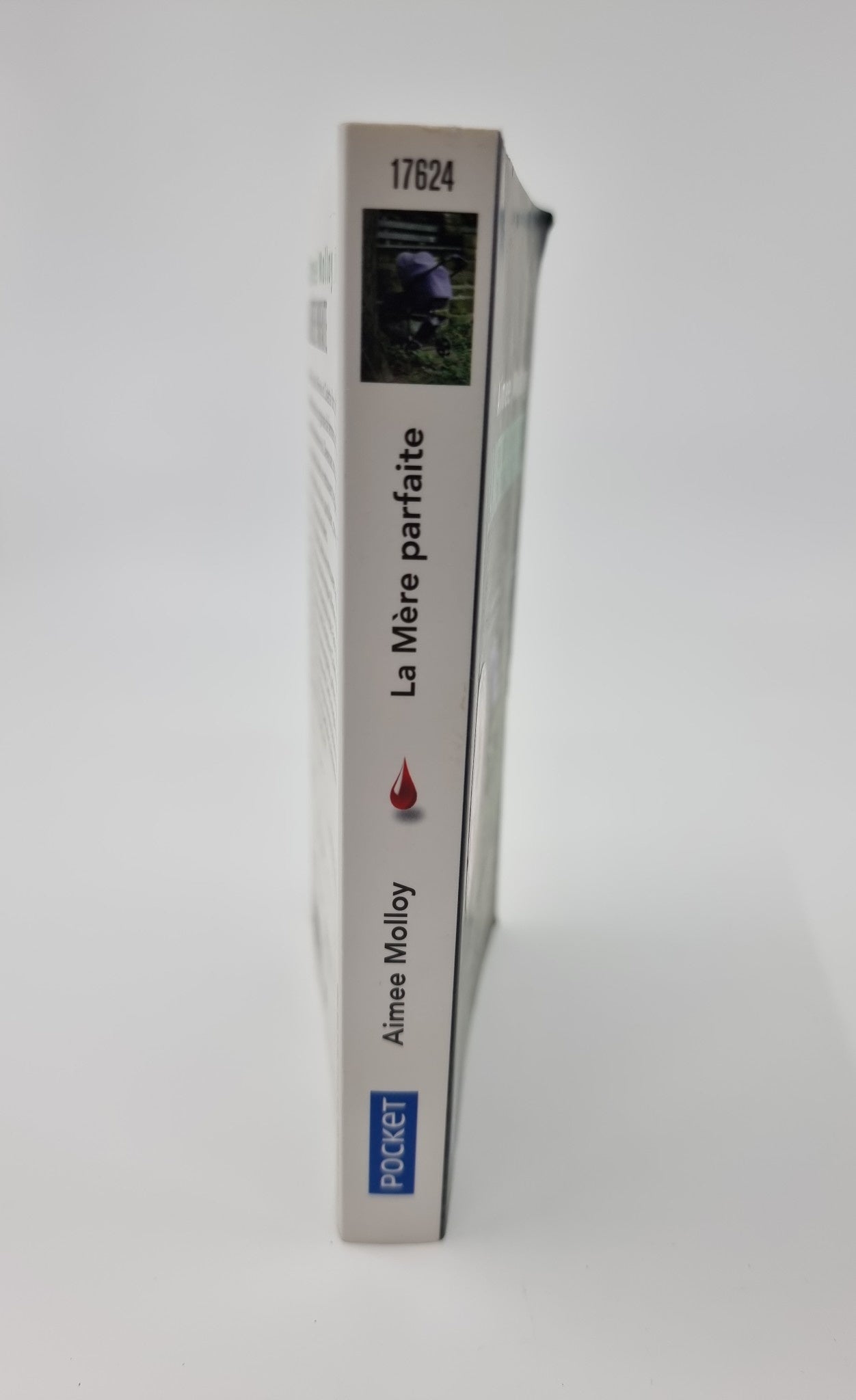 Livre - La mère parfaite