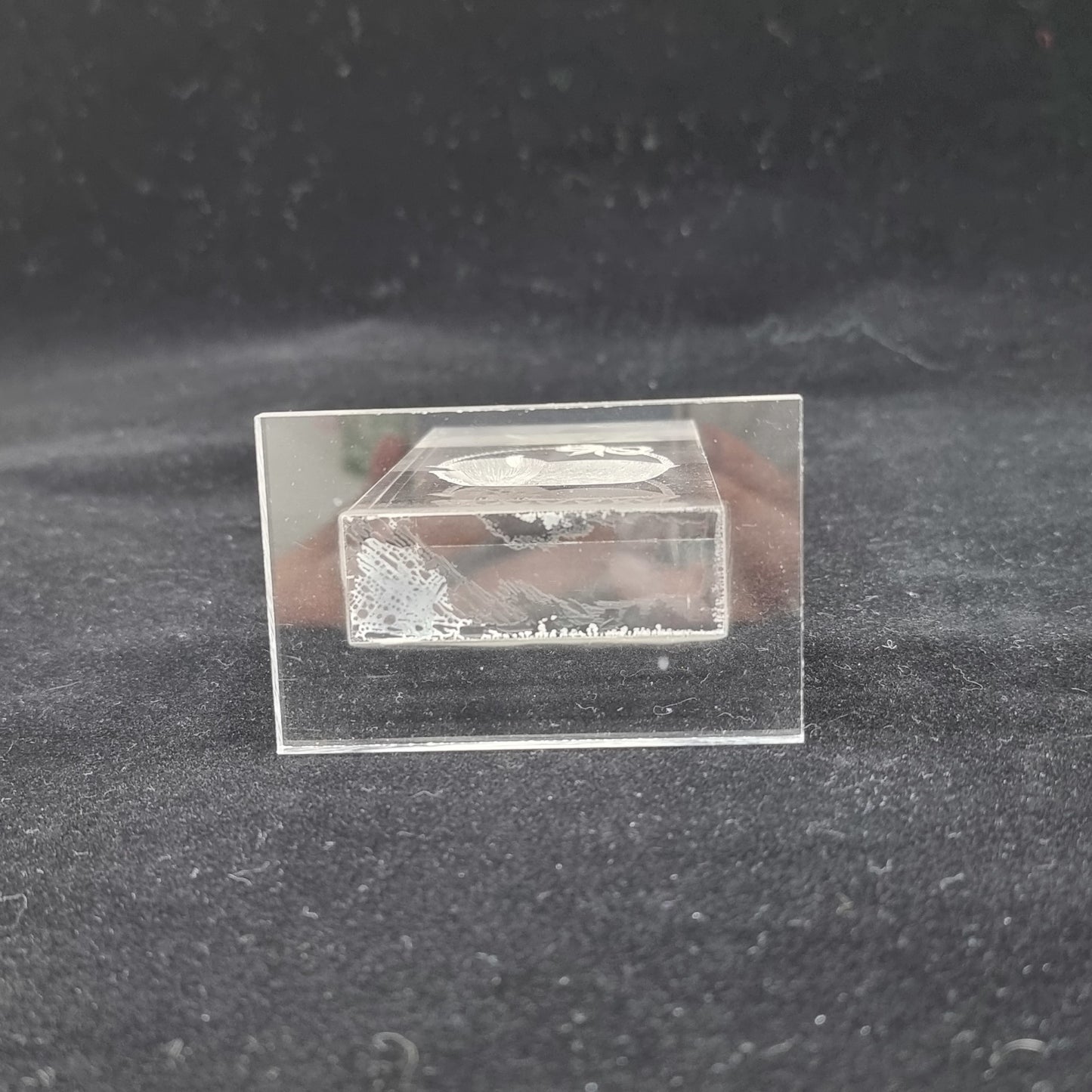 Plaque gravée - chat dans son panier (Modèle n°85)