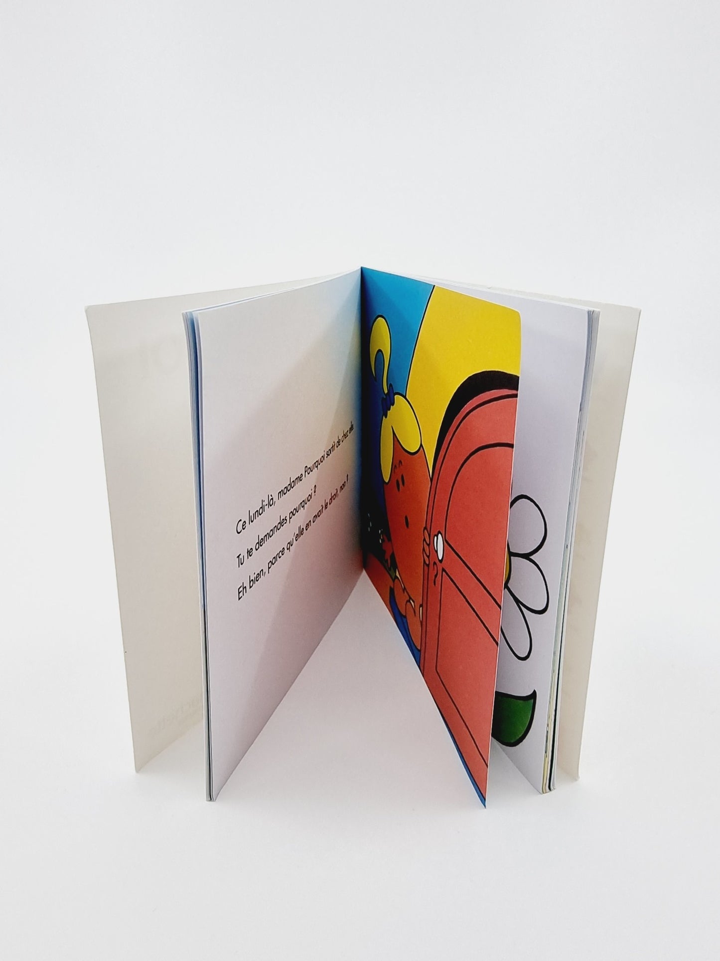 Livre - Mme Pourquoi