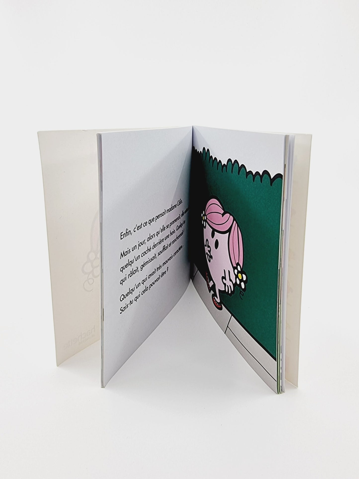 Livre - Mme Câlin