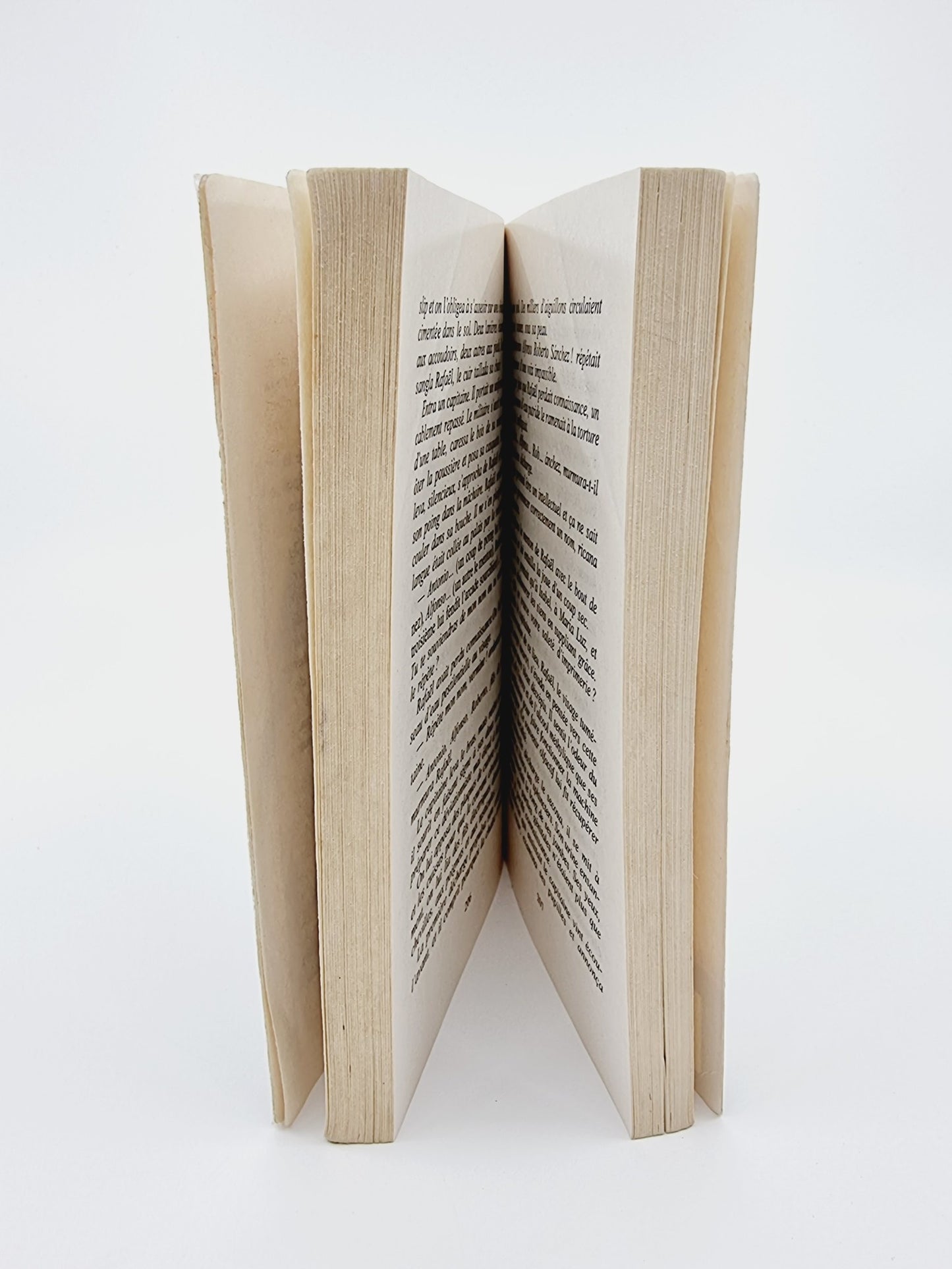 Livre - Si c'était à refaire