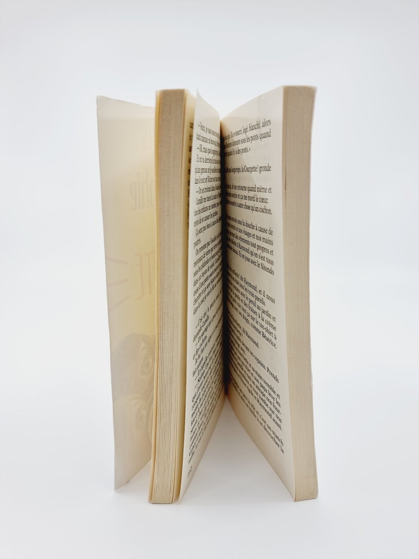 Livre - Autobiographie d'une courgette