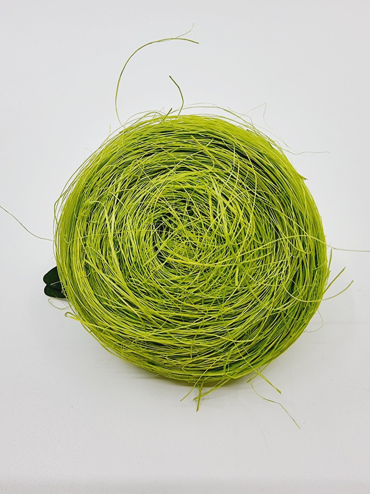 Nid de Pâques avec oiseaux