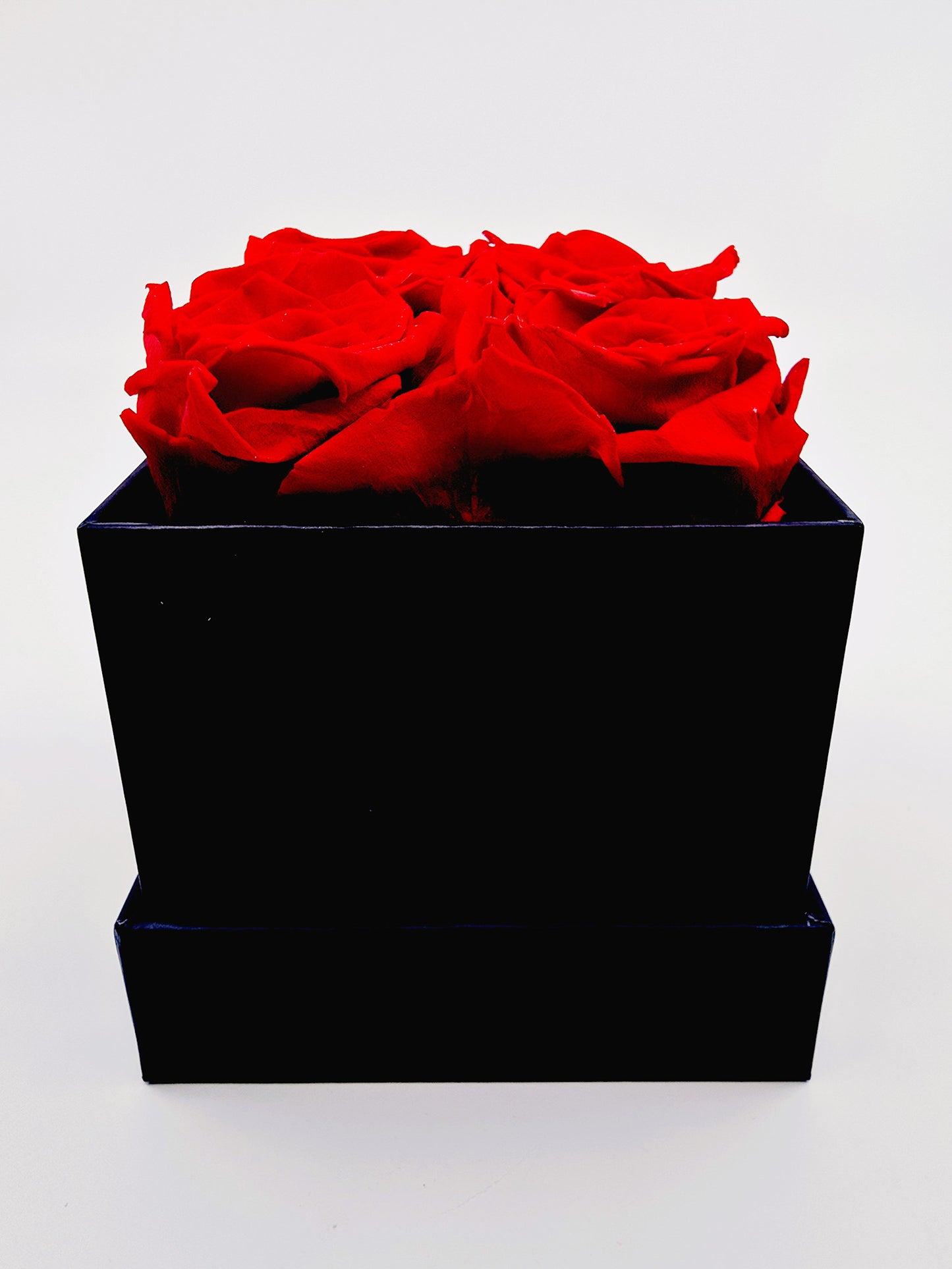 Ecrin de roses éternelles