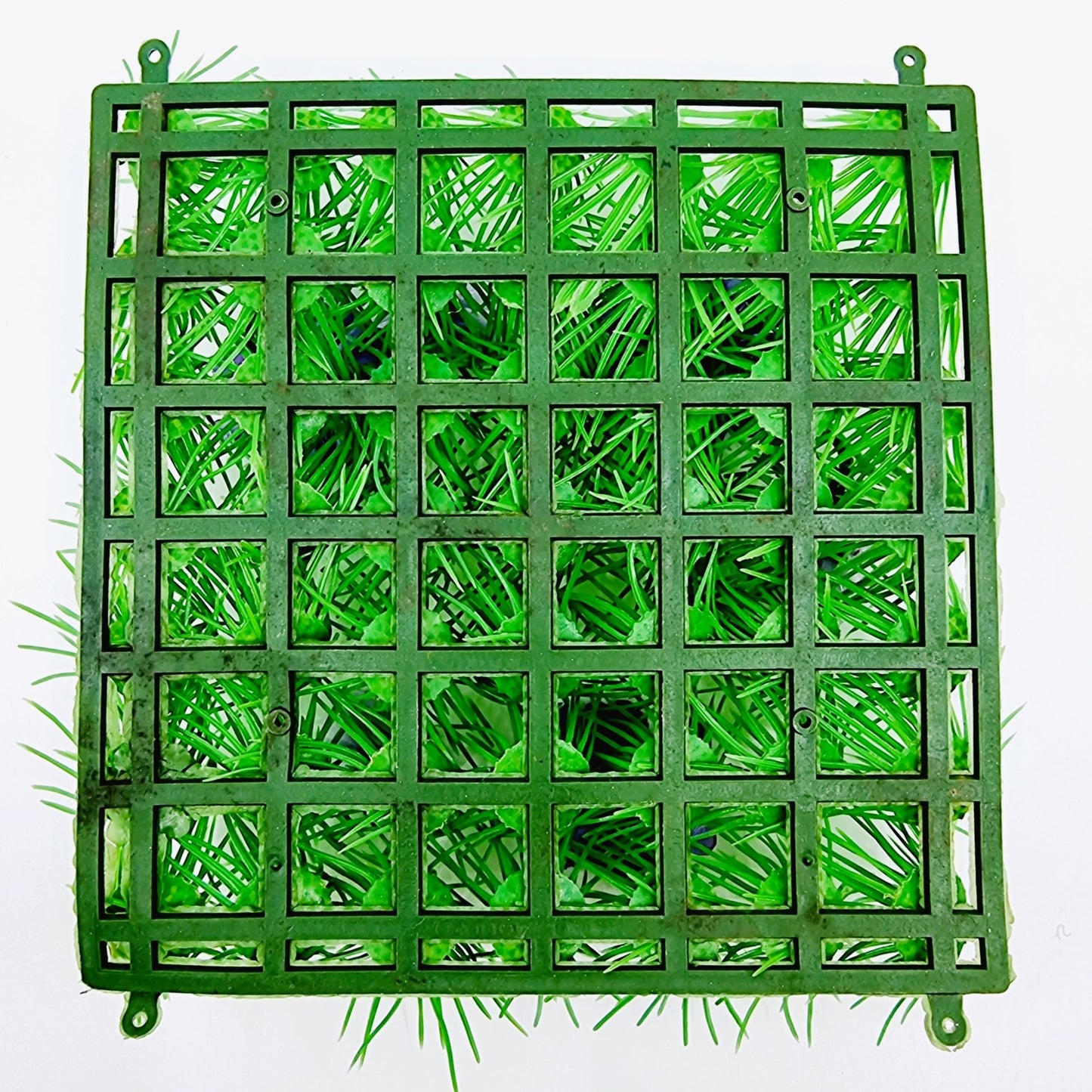 Carré d'herbe champêtre décoratif (2 pièces)