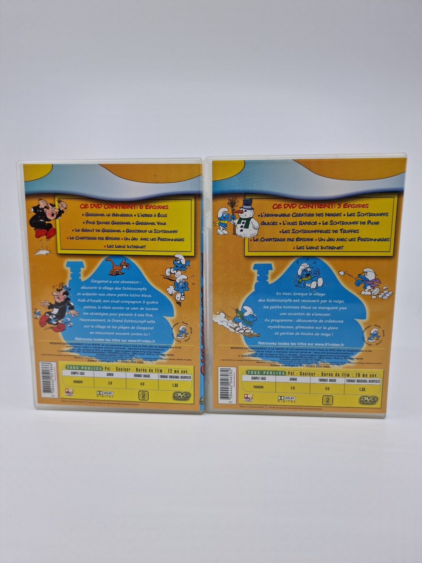 DVD - Les Schtroumpfs - Classe de neige (5 épisodes) et Gargamel se déchaine (6 épisodes)