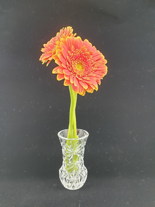 Vase - Louis