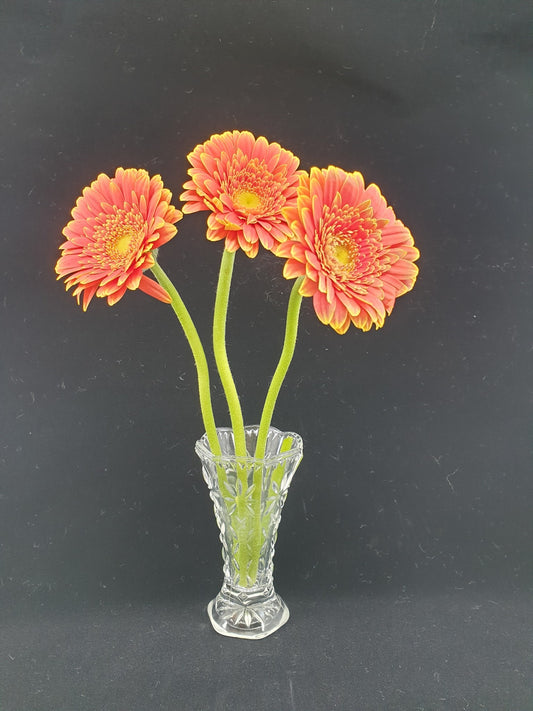 Vase  - Pissenlit