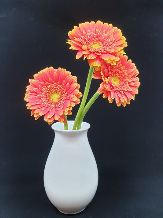 Vase -  Perce-neige