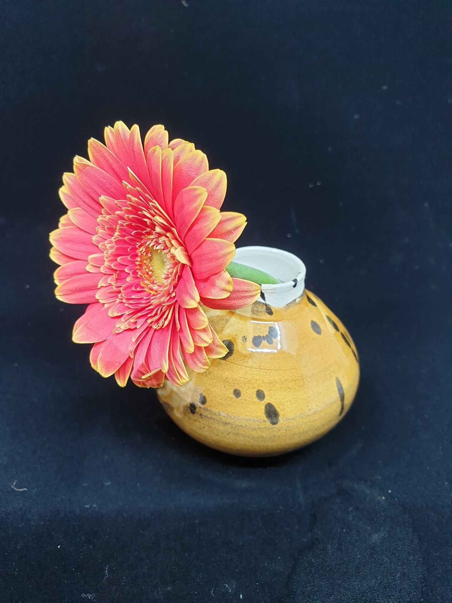 Vase mini - Alstroemeria