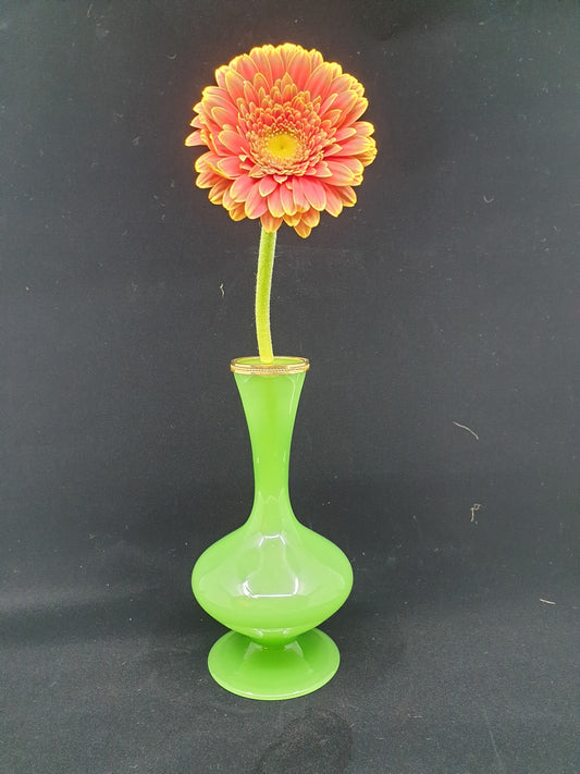 Vase -  Aloe Vera