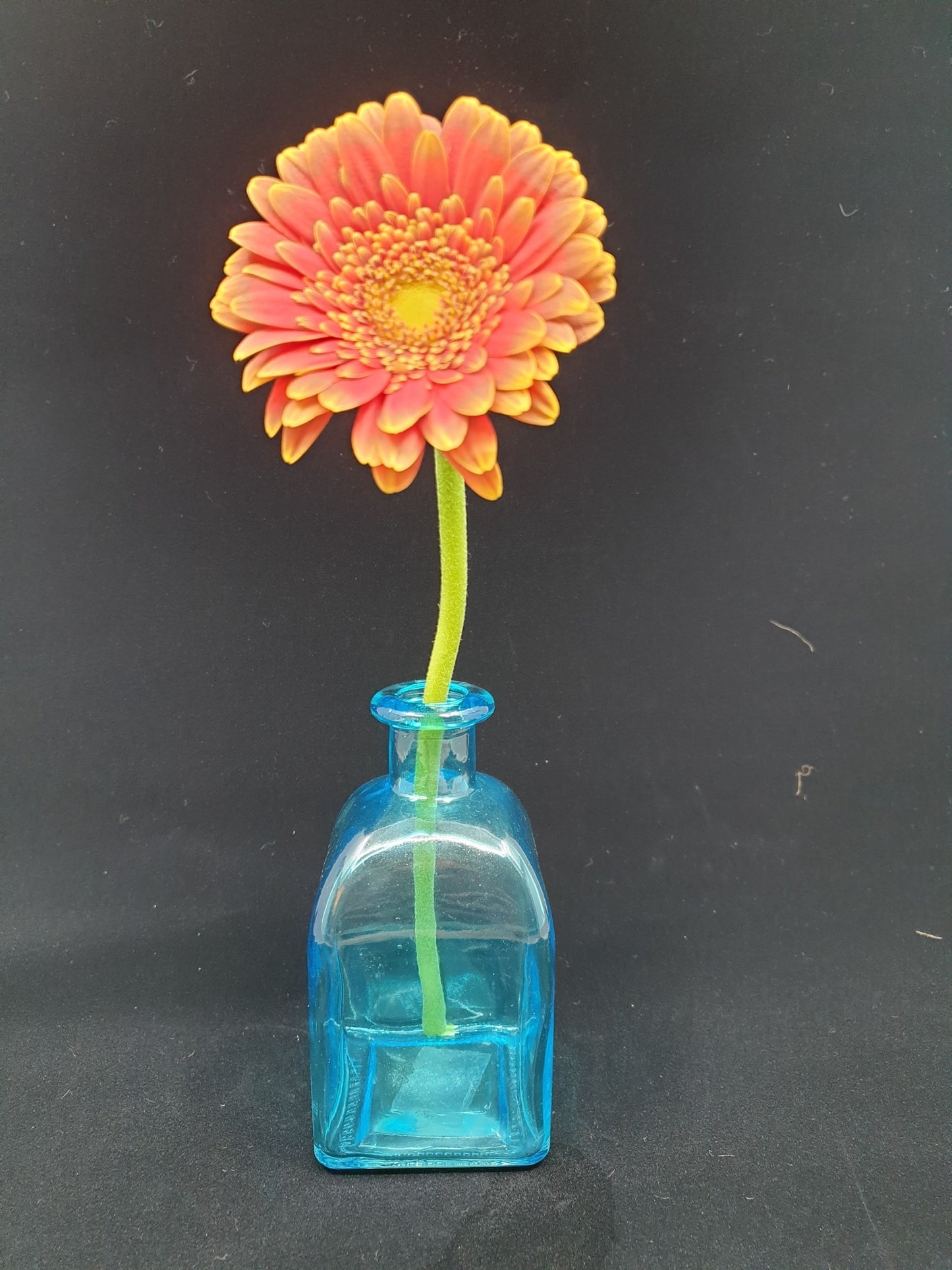 Vase bouteille - Blue