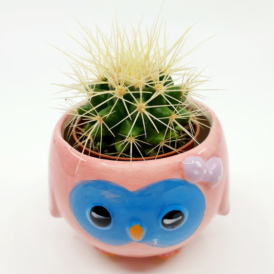Cache-pot mini aimanté - Hibou rose
