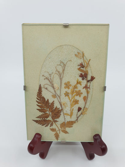 Cadre fleurs séchées