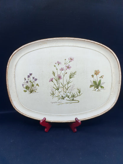 Plateau - Gypsophila repens