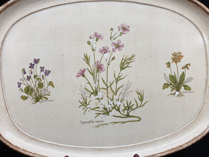 Plateau - Gypsophila repens