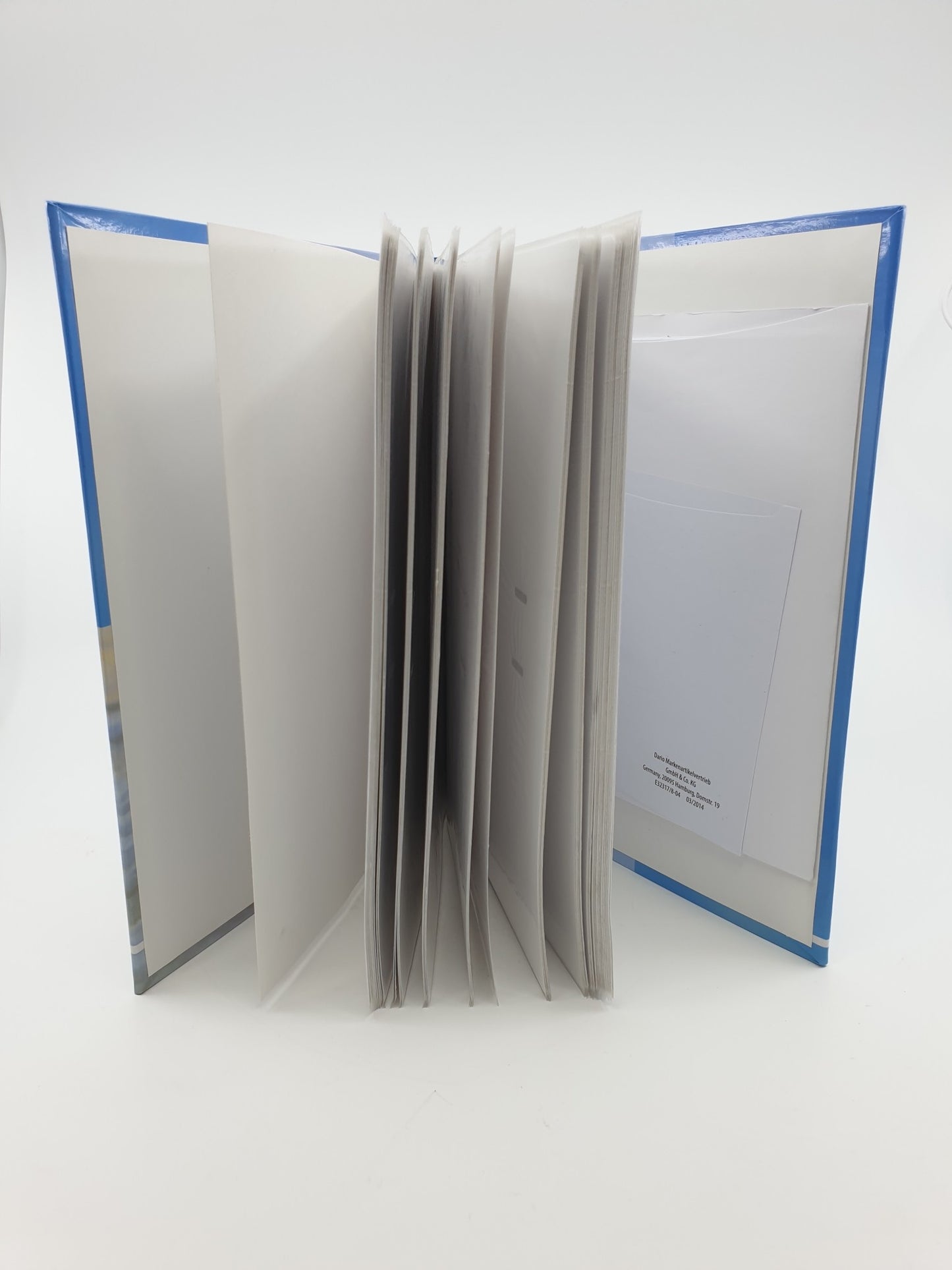 Photos album - étoile de mer