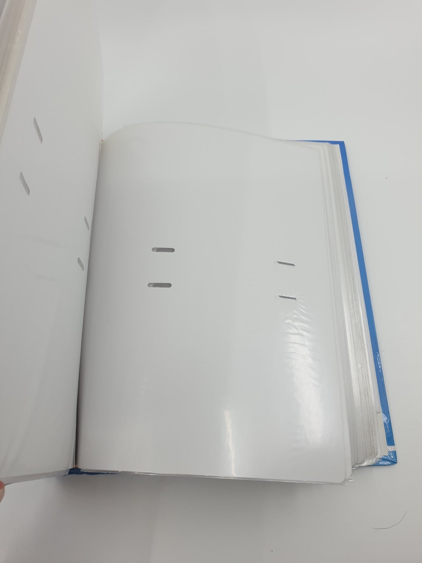 Photos album - étoile de mer