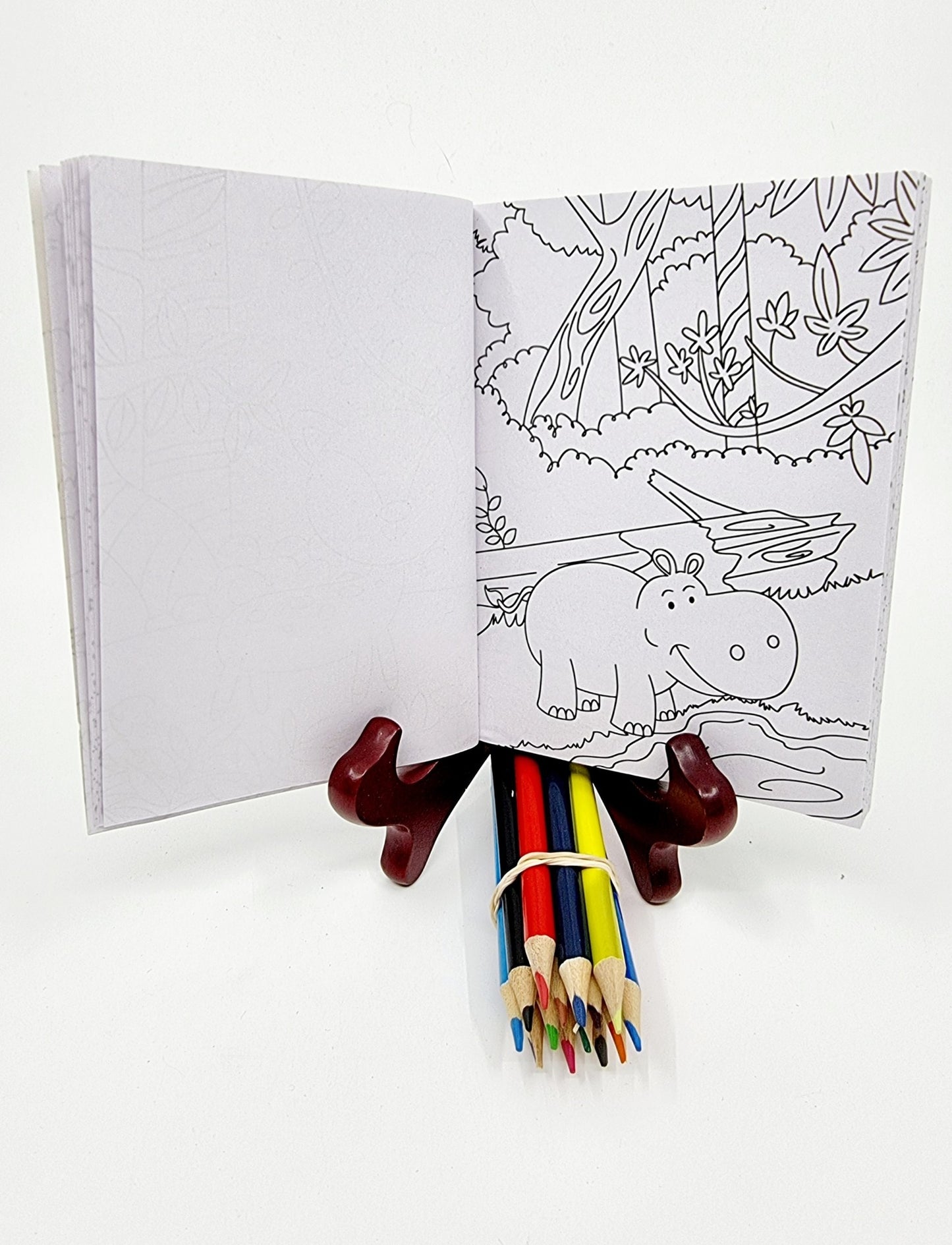 Livre de coloriage avec crayons de couleur - Savane