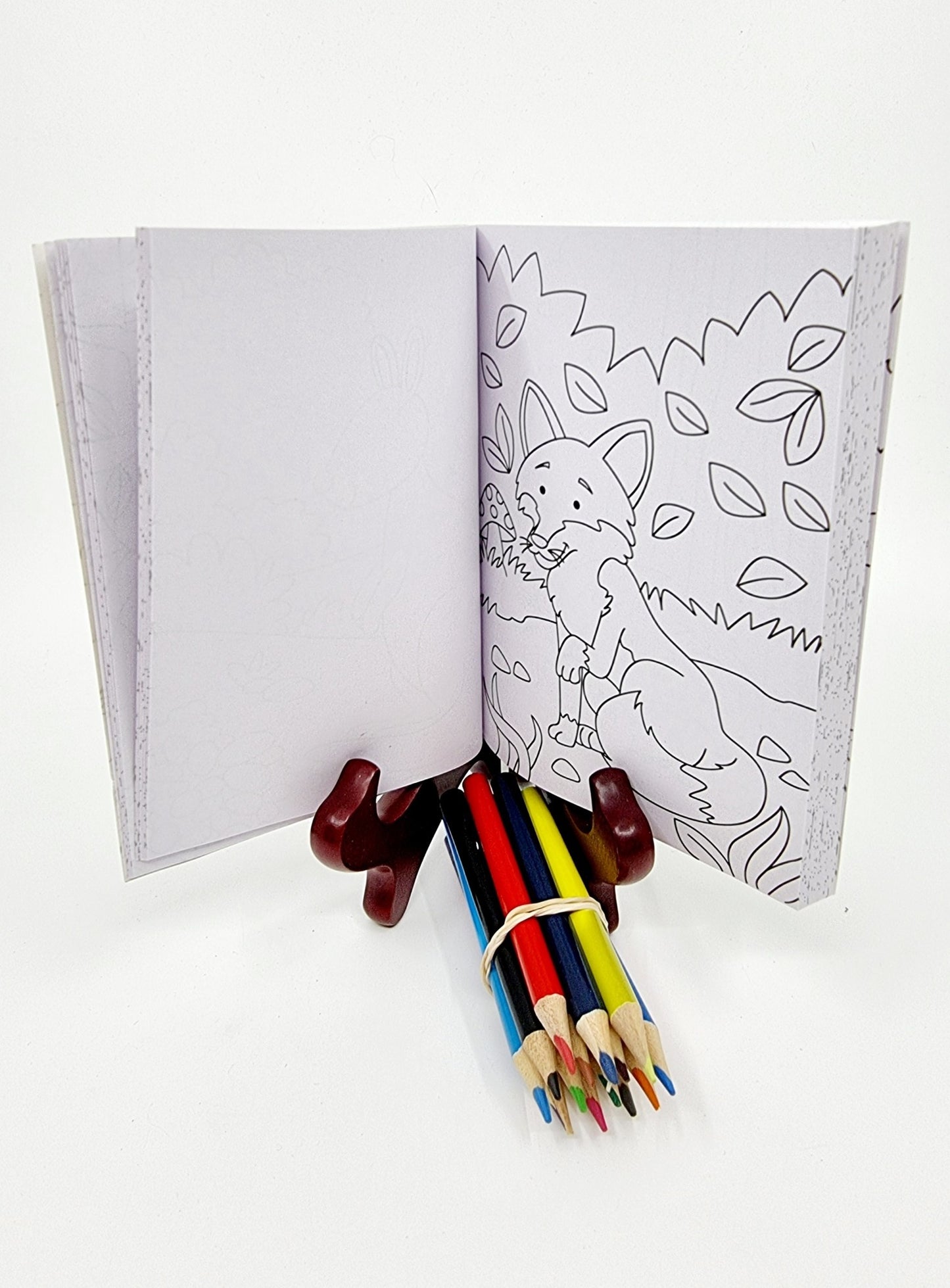 Livre de coloriage avec crayons de couleur - Savane
