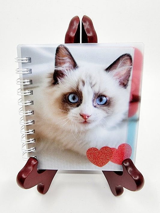 Notebook - Chat