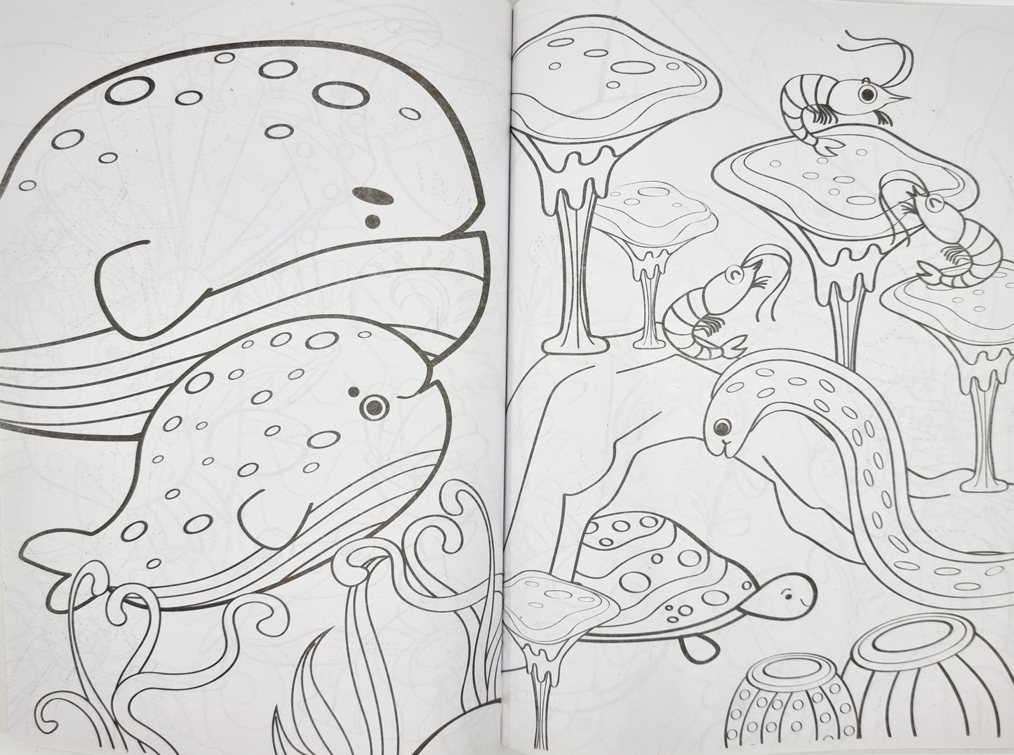 Livre de coloriage - turquoise