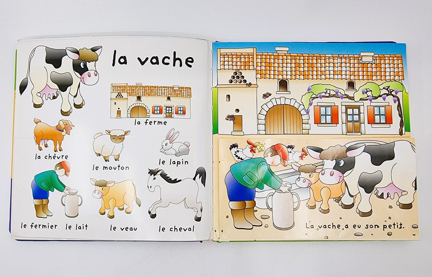 Livre - Jeux d'images et de mots