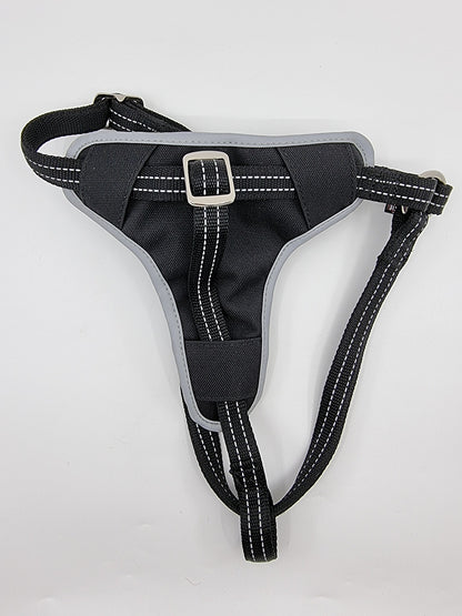 Harnais pour voiture (M : 50-65 cm )