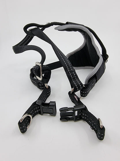 Harnais pour voiture (M : 50-65 cm )