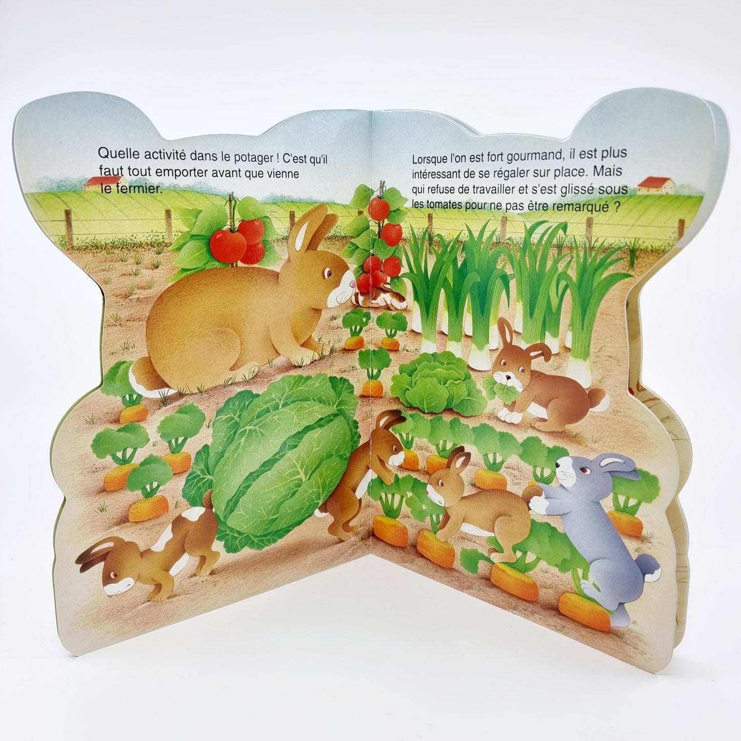 Livre - Mon petit lapin