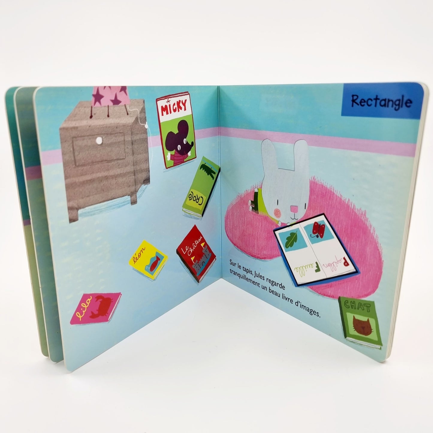 Livre éducatif - Les 5 amis cherchent, les formes + les contraires (2 pièces)