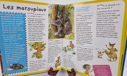 Livre - Les animaux pourquoi/comment ?