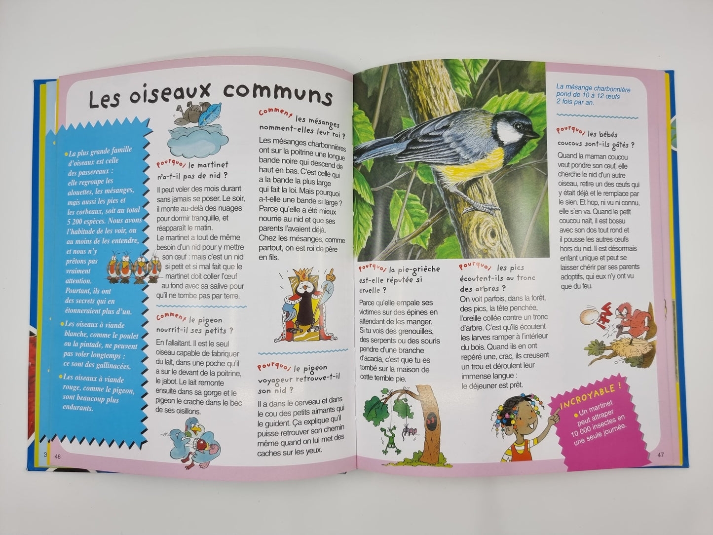 Livre - Les animaux pourquoi/comment ?