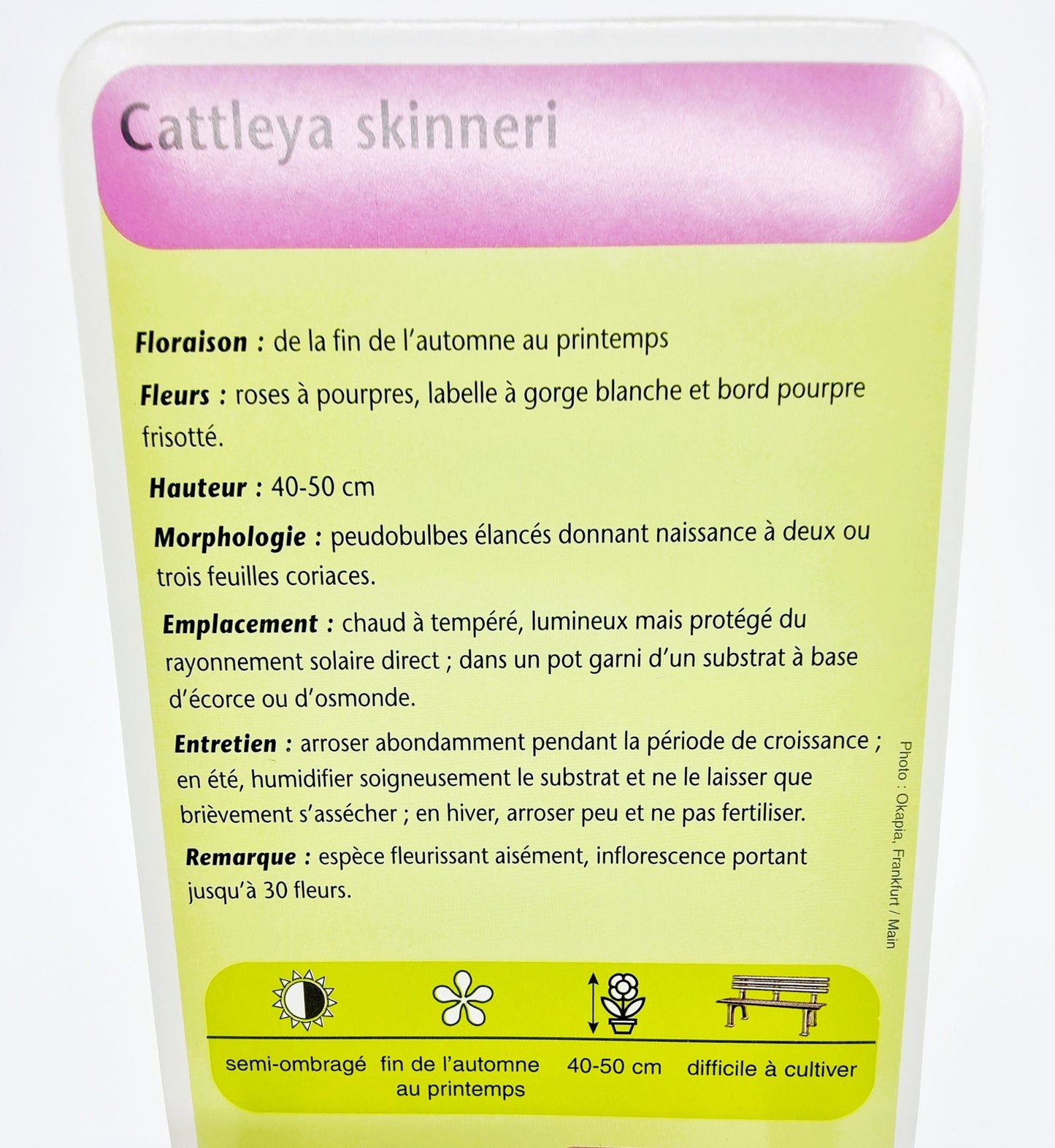 Coffret jardin - Orchidées avec 50 cartes explicatives