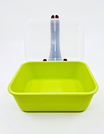 Boîte de conservation en fibres de bambou - vert pomme