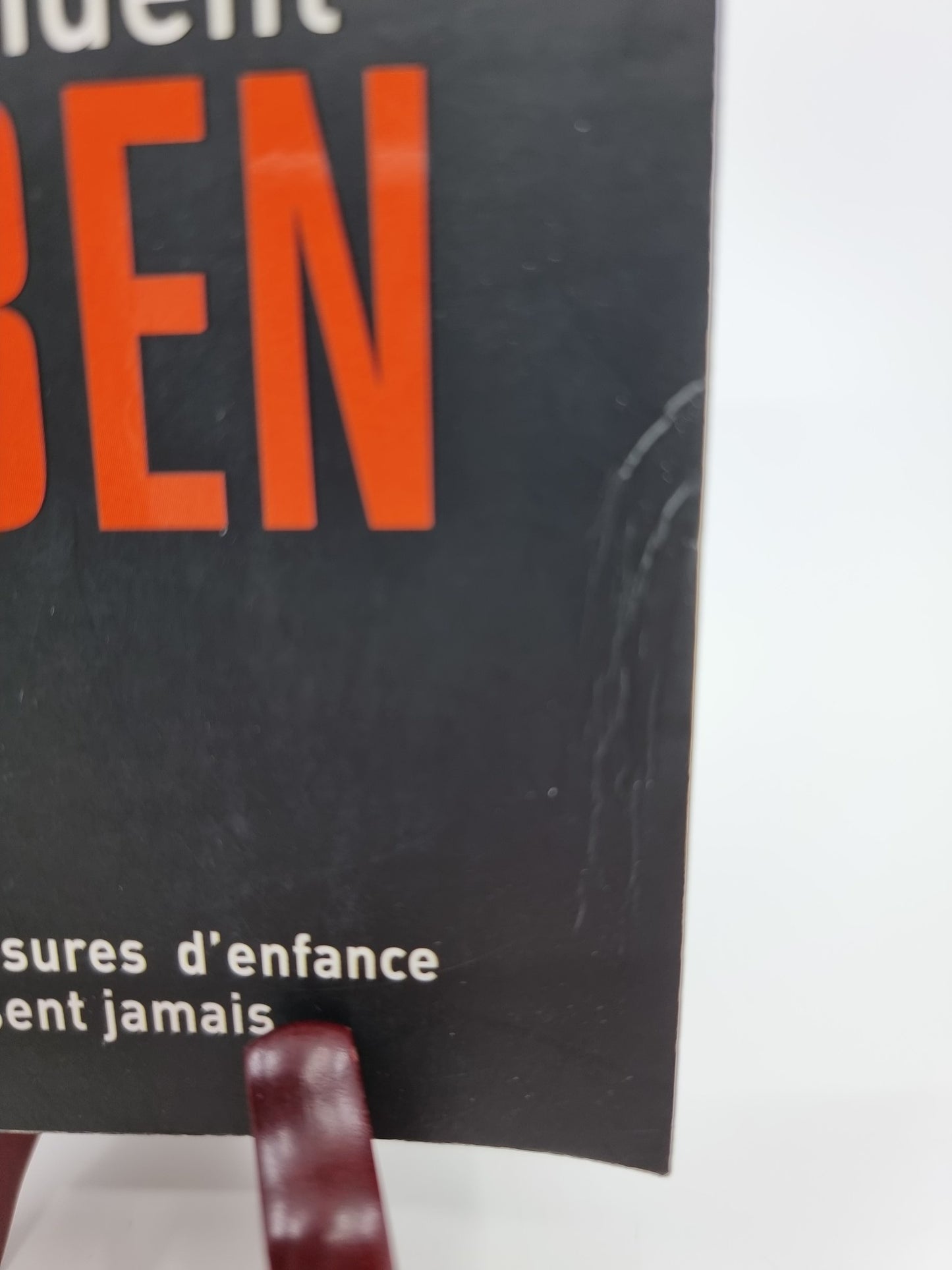 Livre - Par accident, certaines blessures d’enfance ne cicatrisent jamais…