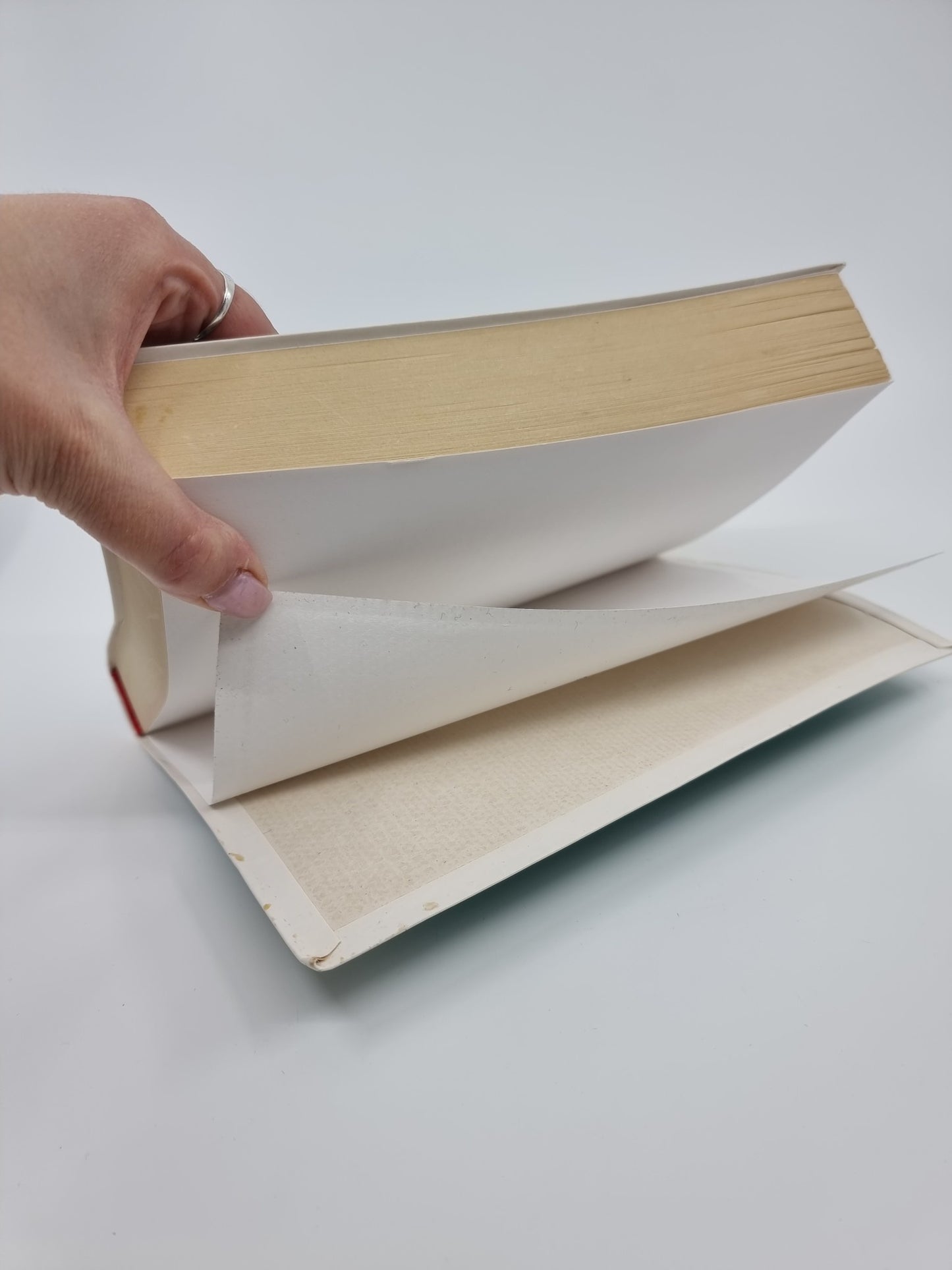 Livre - La Vagabonde