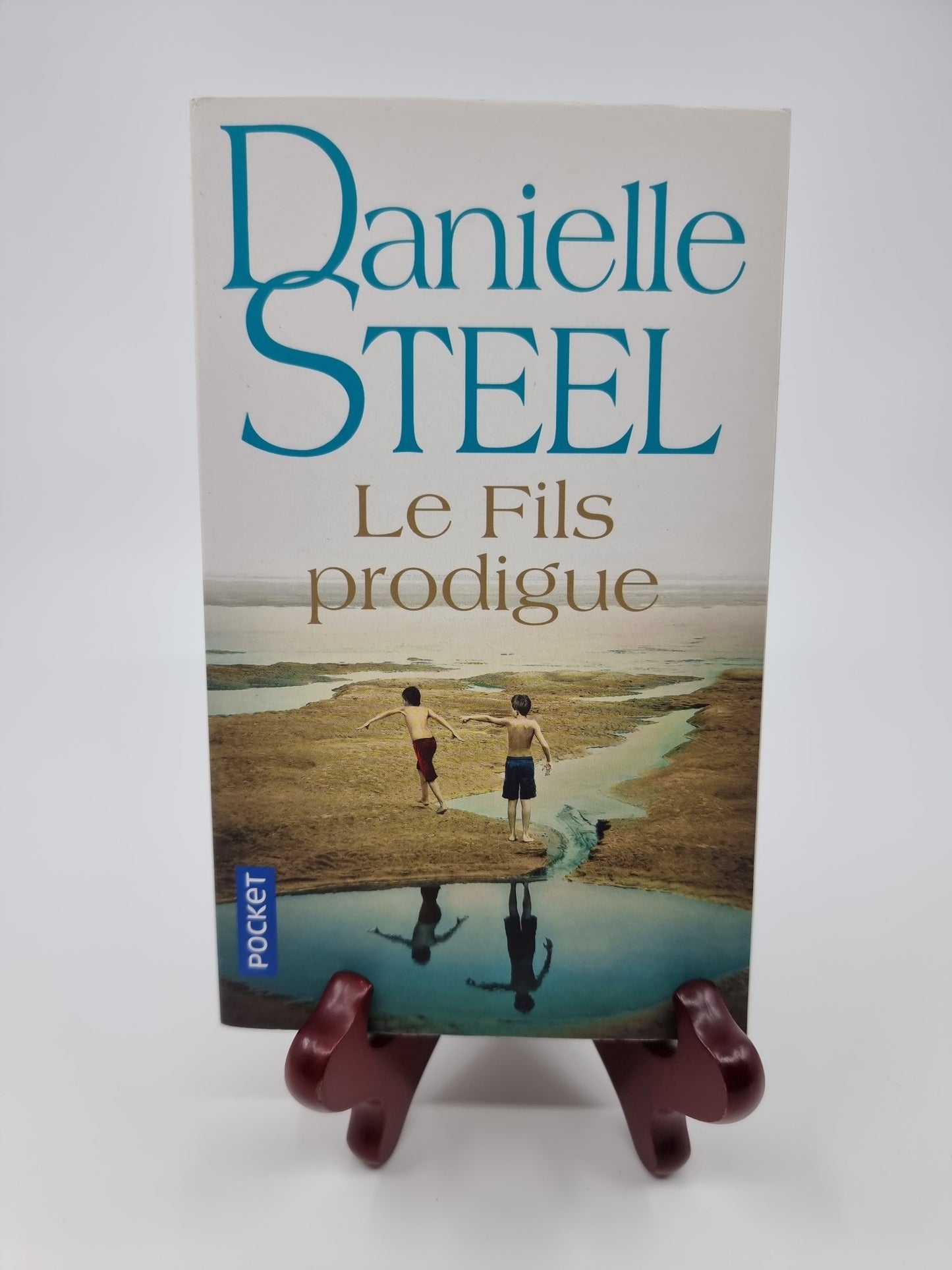 Livre - Le fils prodigue