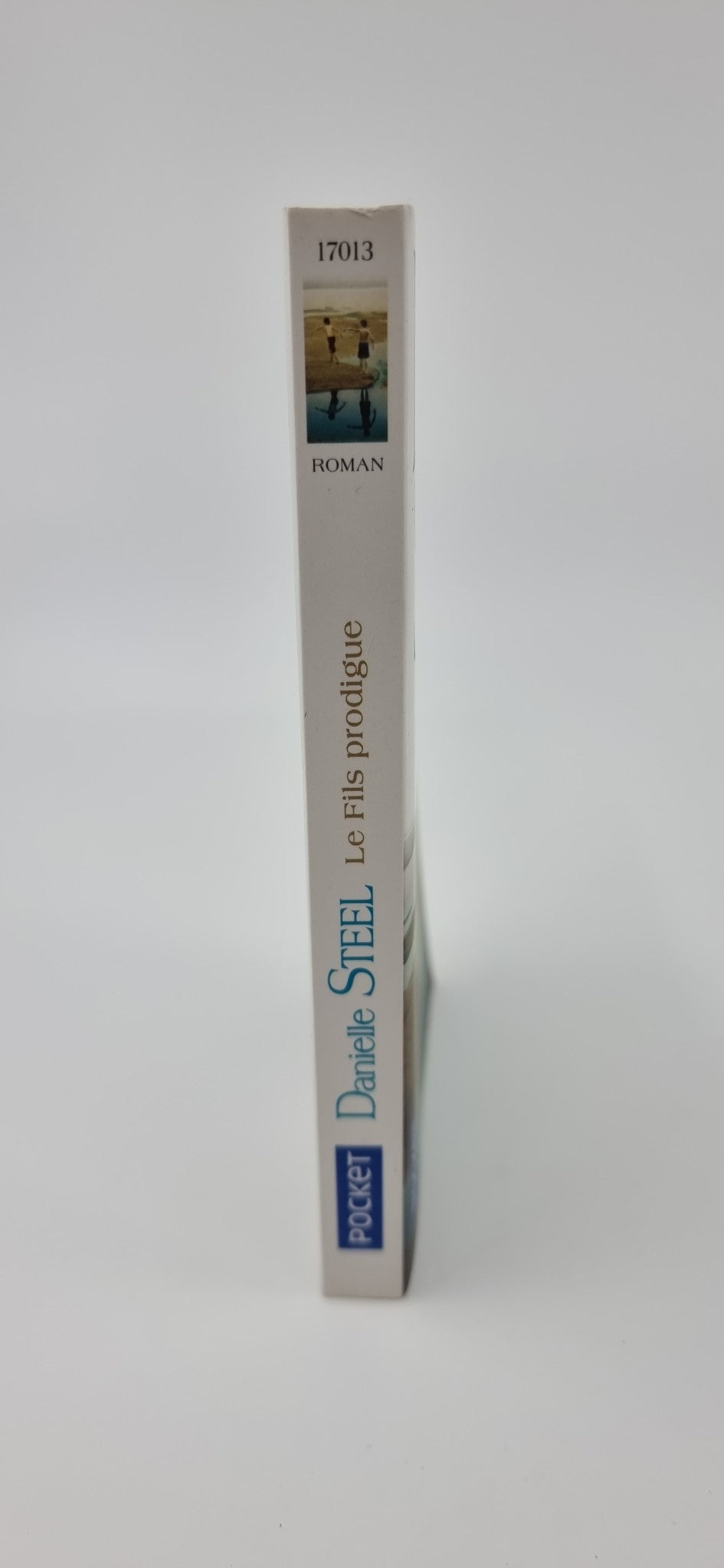 Livre - Le fils prodigue