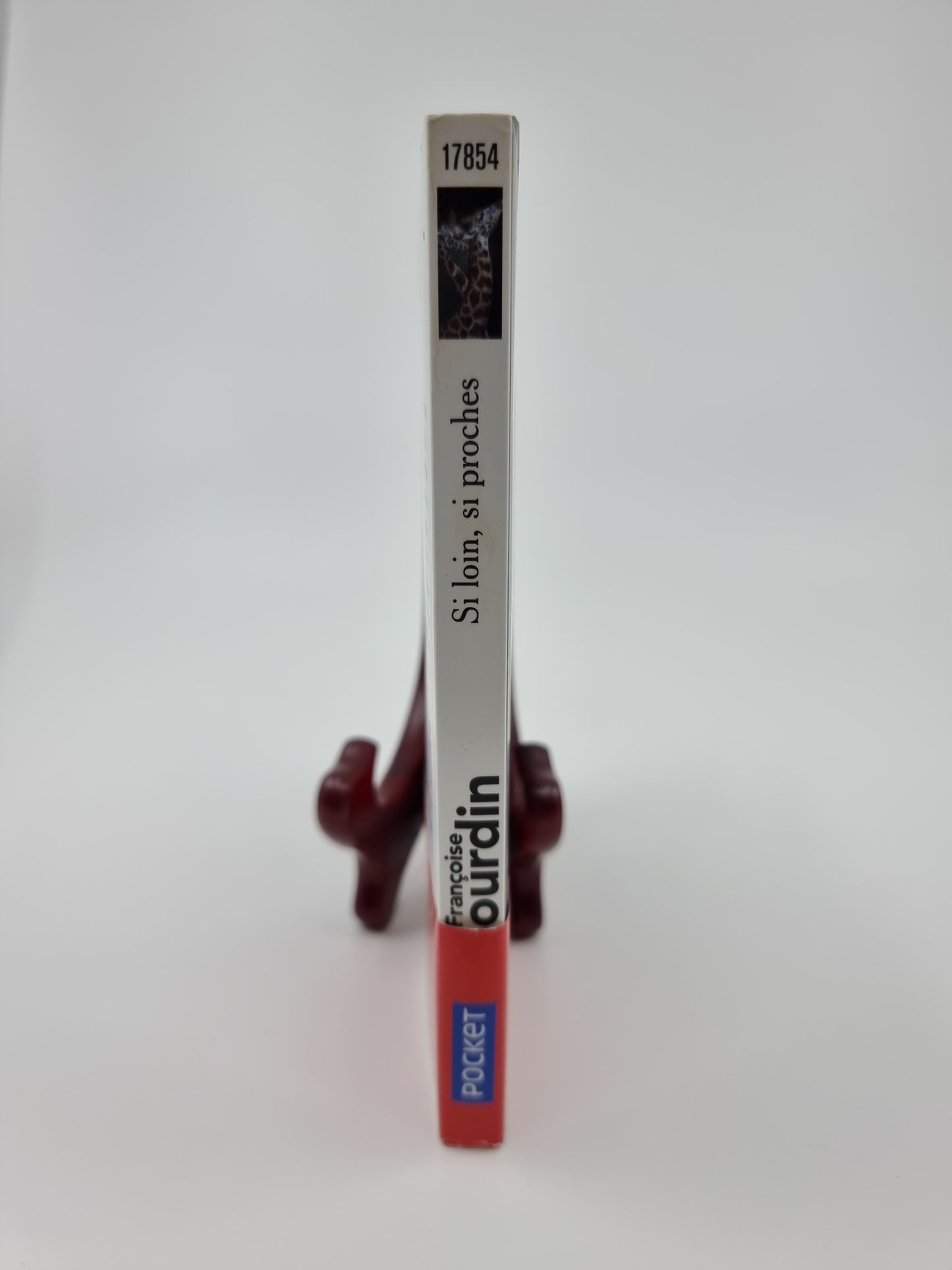 Livre - Si loin, si proches