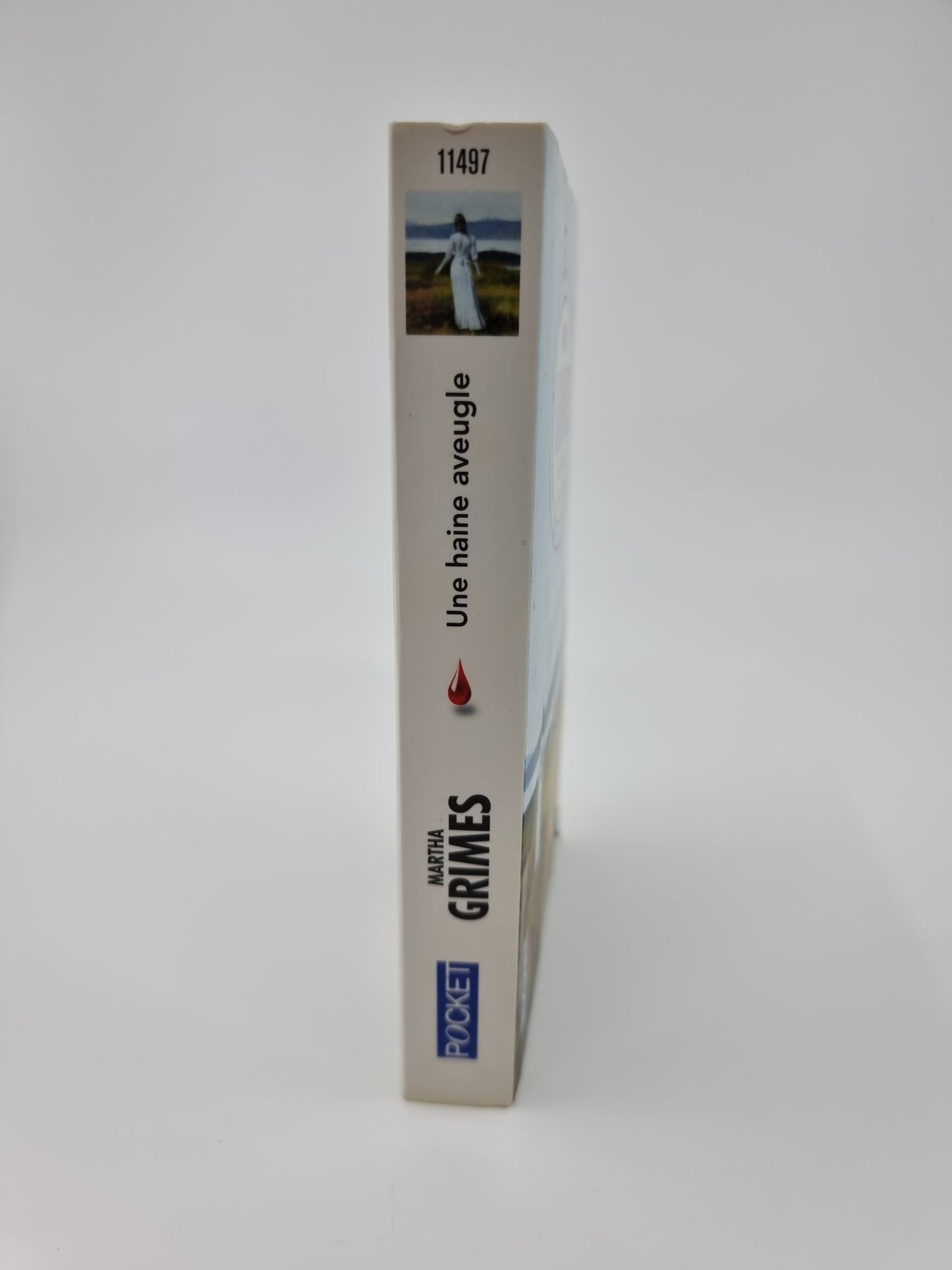 Livre - Une haine aveugle