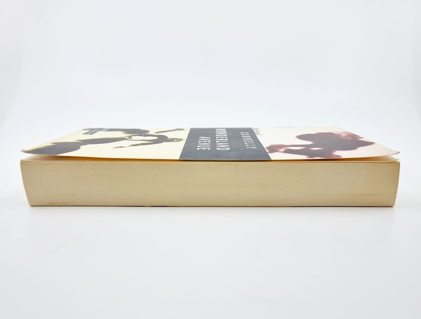 Livre - Wonderland Avenue