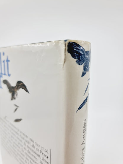 Livre - Le complot des anges