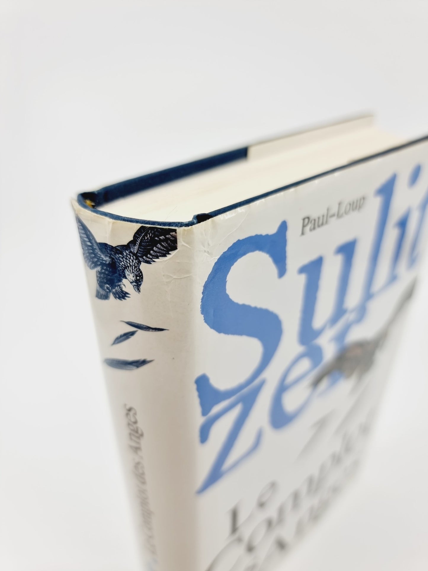 Livre - Le complot des anges